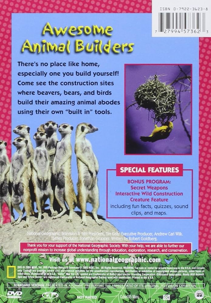 Amazon.com: Really Wild Animals: Awesome Animal Builders